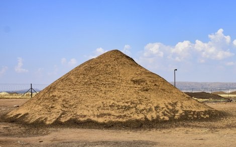 Billy's Compost Heidelberg